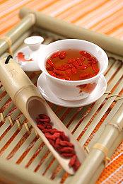 地底生存回合制游戏《地下设施2》Steam商店页面上线